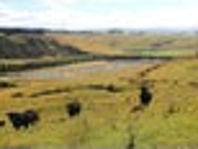 Land for sale in Southland