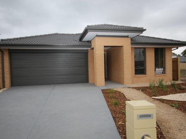 House for rent in Warralily Springs, Geelong