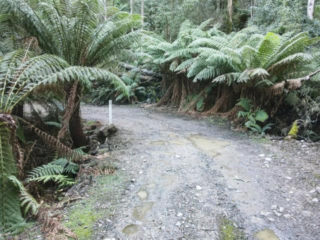 Land for sale in Chain Of Lagoons, Tasmania
