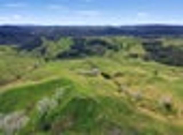 Land for sale in Kawau Island, Oroua County