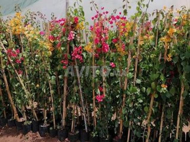 Propriété vente à Berrechid, Gharb-Chrarda-Beni Hssen