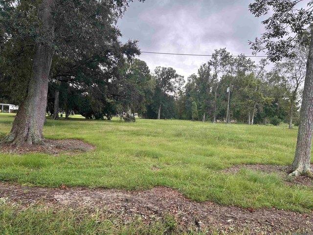 Land for sale in Gonzales, Louisiana