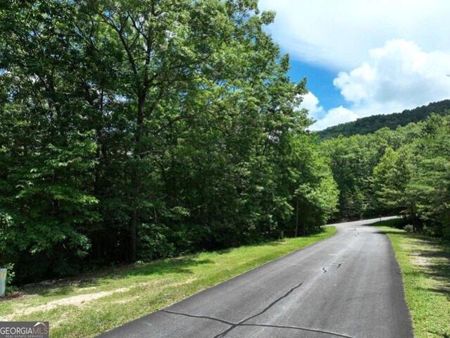 Land for sale in Ellijay Land for sale in Ellijay