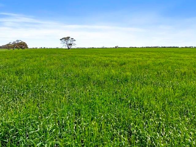 Acreage for sale in Sherlock, South Australia