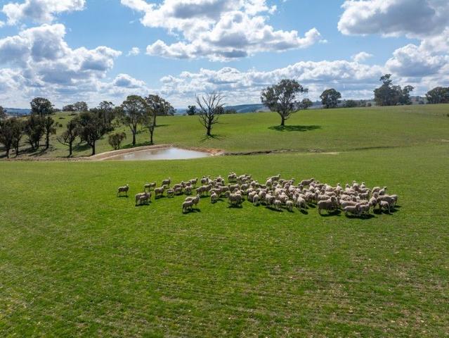 Cottage for sale in Golspie, New South Wales