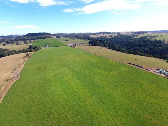 Cottage for sale in Mount Hicks, Tasmania