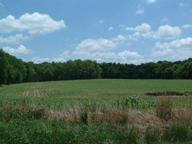 Farm for sale in Croton, Ohio