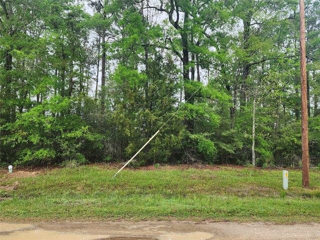 Land for sale in Polk, Texas