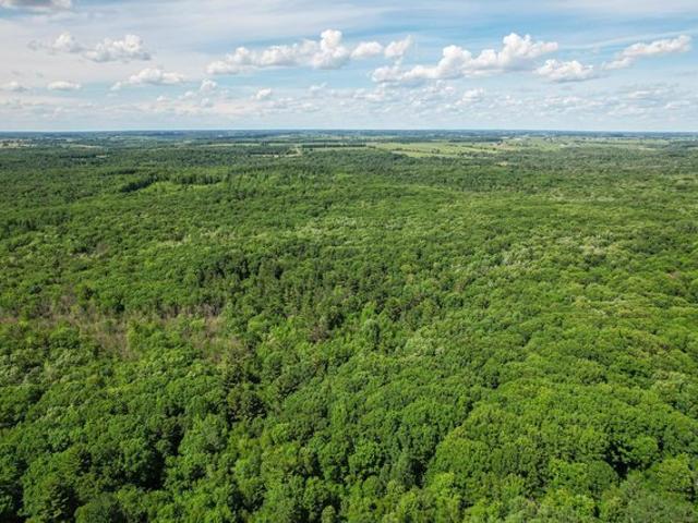 Land for sale in Thorp, Wisconsin
