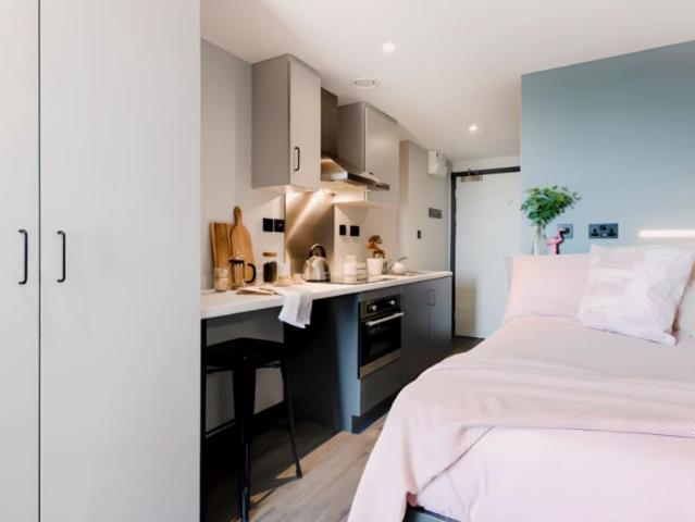Studio for rent in Newtown, Falcon Lodge