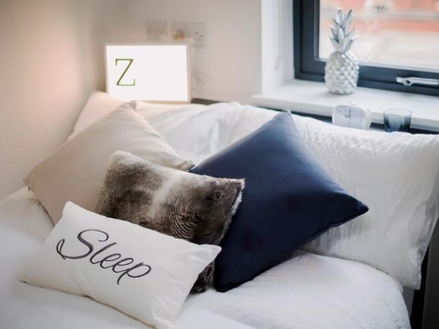 Studio for rent in Falcon Lodge, Wales
