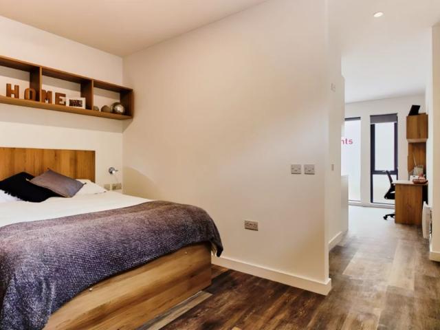 Studio for rent in Plasnewydd, Falcon Lodge