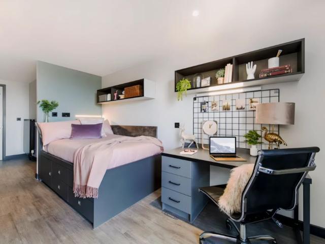 Studio for rent in Newtown, Falcon Lodge