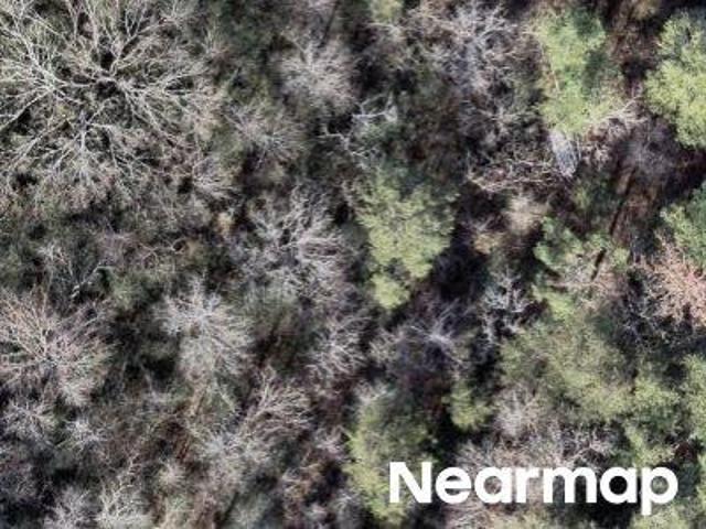 Land for sale in Alabama