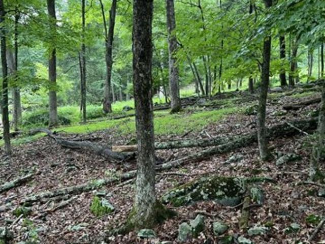 Land for sale in East Stroudsburg Land for sale in East Stroudsburg