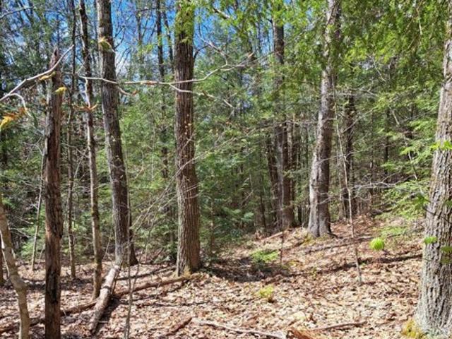 Land for sale in Berkshire, Massachusetts