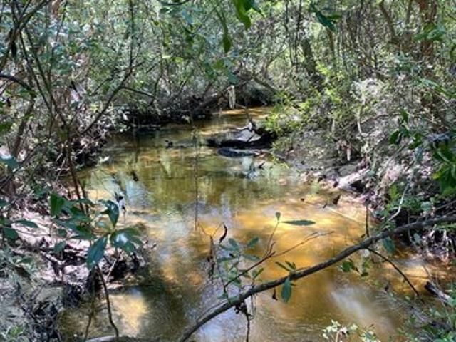 Land for sale in Wiggins, Mississippi