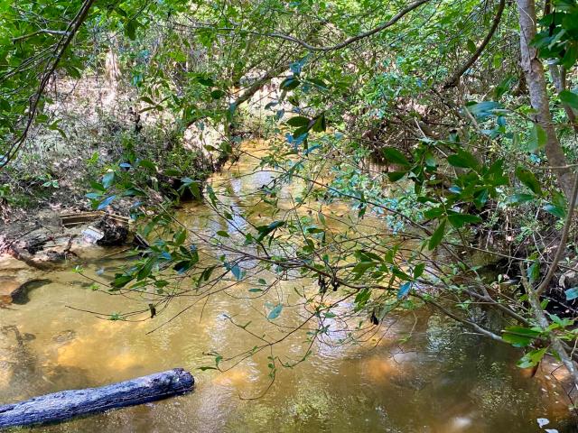 Land for sale in Wiggins, Mississippi