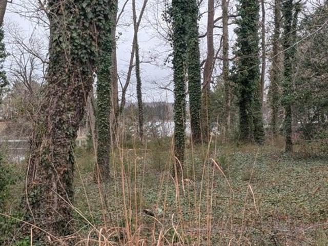 Land for sale in Virginia