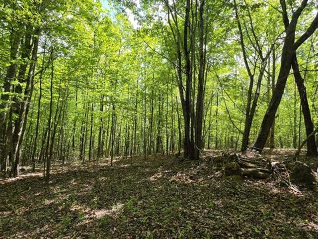 Land for sale in Tennessee