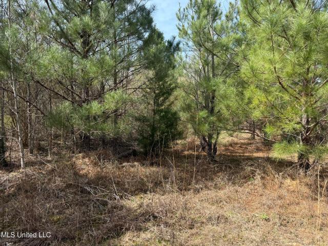 Land for sale in Newton, Mississippi