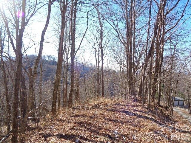 Land for sale in Haywood, North Carolina