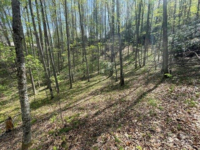 Land for sale in Clyde, North Carolina