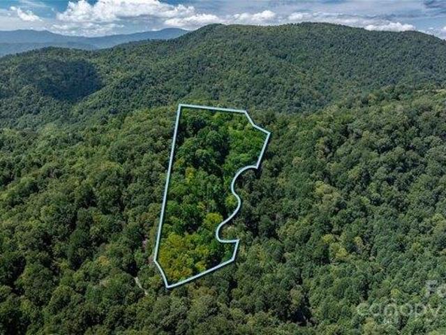 Land for sale in Clyde, North Carolina