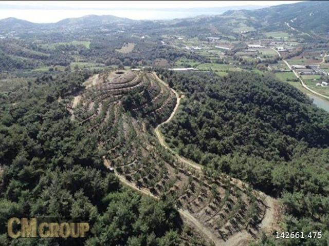 Çayağzı Mahallesi, Erdek içerisinde satılık Arsa