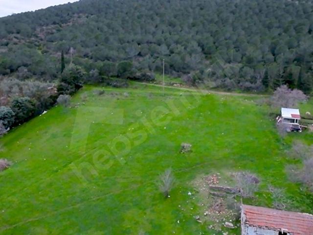 Ocaklar Mahallesi, Erdek içerisinde satılık mülk