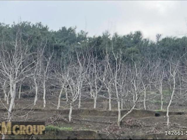 Çayağzı Mahallesi, Erdek içerisinde satılık Arsa