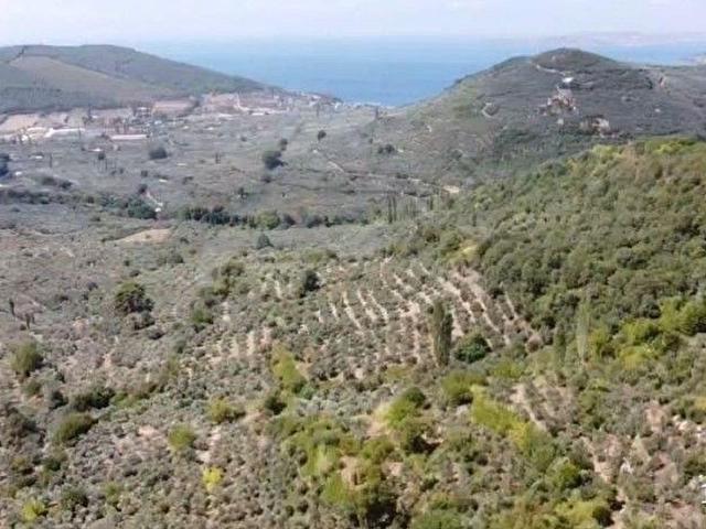 Erdek, Balikesir içerisinde satılık mülk