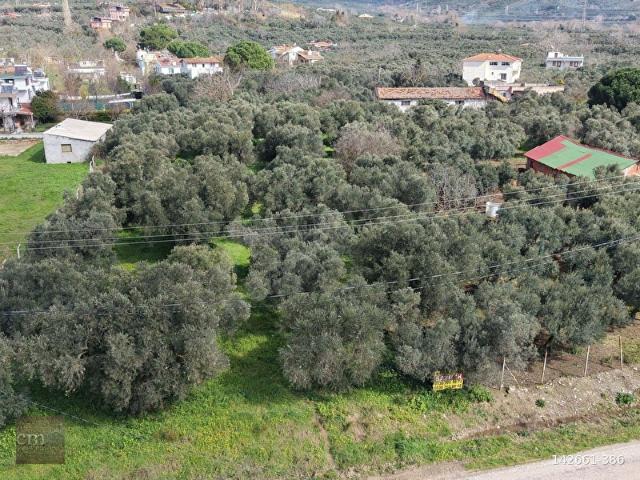 Erdek, Balikesir içerisinde satılık mülk