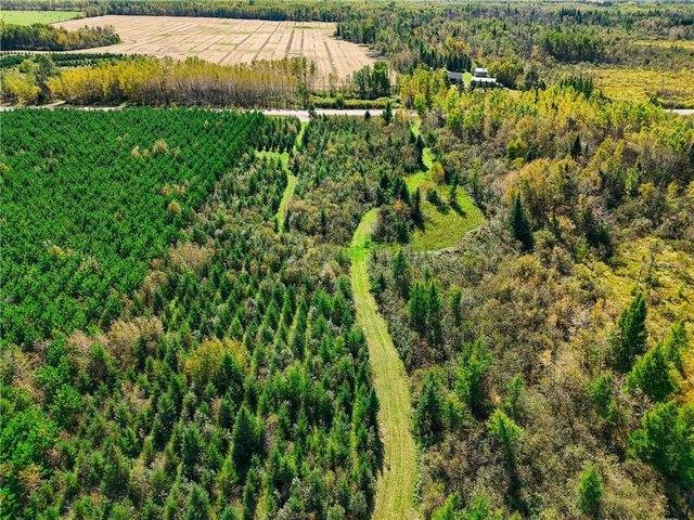 Land for sale in Beltrami, Minnesota