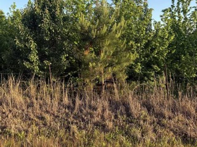 Land for sale in Florence, Alabama