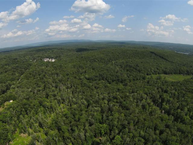 Land for sale in Fallsburg, New York