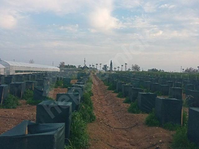 Silifke, Mersin içerisinde satılık Arsa