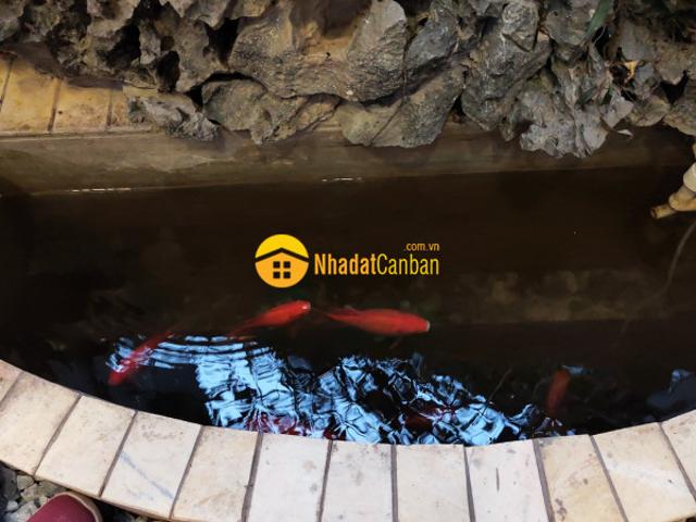 Căn hộ bán