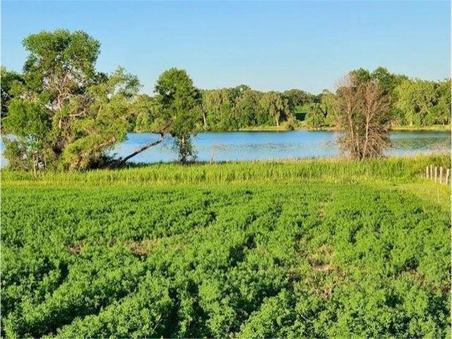 Land for sale in Brandon, Minnesota