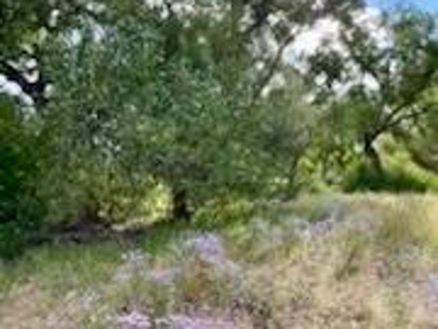 Land for sale in Mesilla, New Mexico