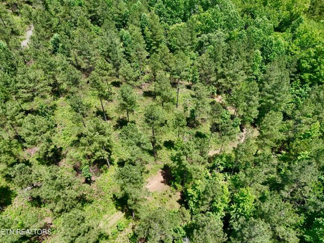 Land for sale in Tennessee