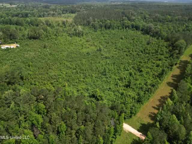 Land for sale in Bay Springs, Mississippi