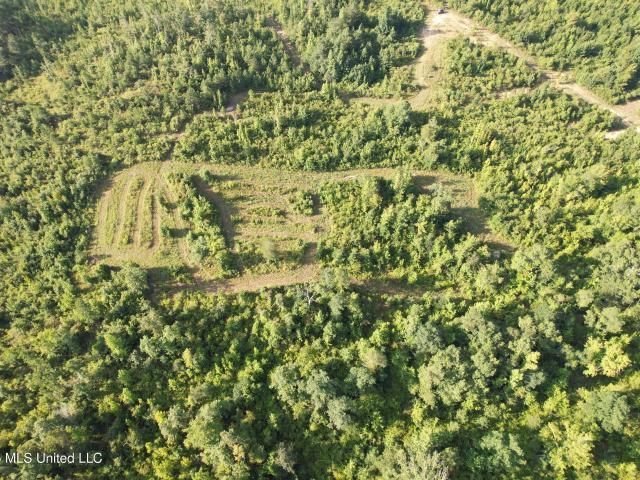 Land for sale in Sallis, Mississippi