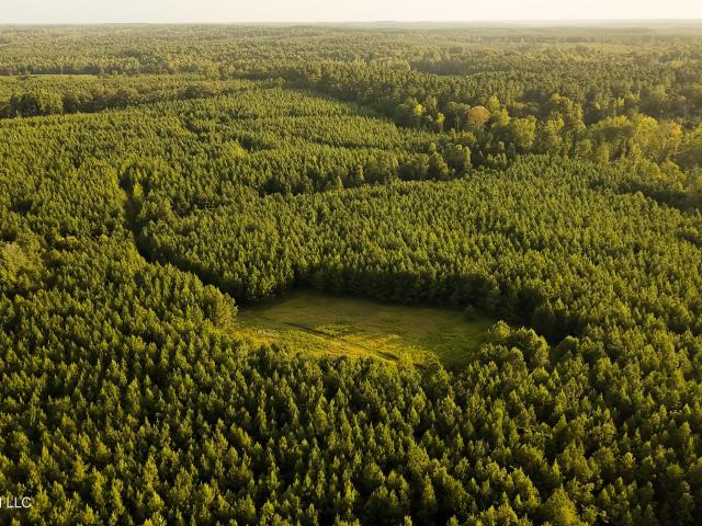 Land for sale in Union, Mississippi