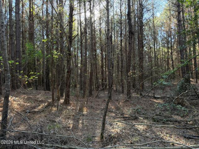 Land for sale in Kosciusko, Mississippi
