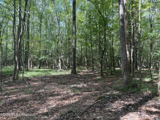 Land for sale in Kosciusko, Attala County