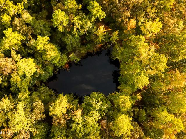 Land for sale in Union, Neshoba County