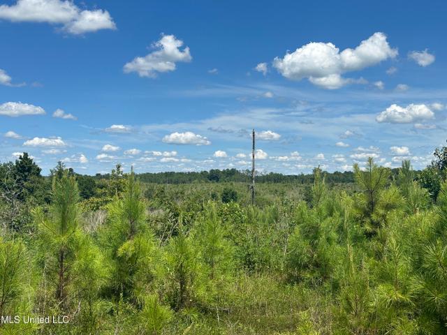 Land for sale in Pine Bluff, Cruger