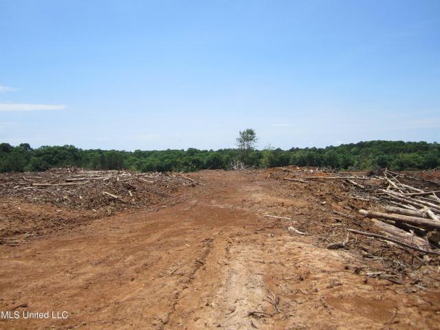 Land for sale in Myrtle, Mississippi