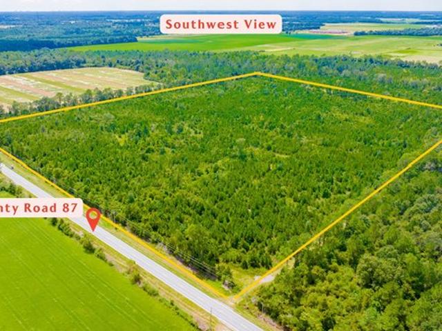 Land for sale in Elberta, Alabama